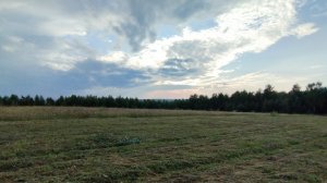 Начали сенокос 15-07-2025