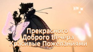 Открытка с добрым вечером хорошими пожеланиями 🤗 Новинка