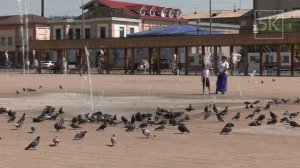 А как считаете вы, где стоит погулять в нашем городе? 😊