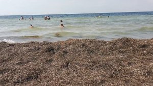 Пляж Портовое сегодня. Вторник, 15 июля 2025г., +36 в тени (звук не очень, писал с телефона)