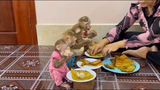 Обезьянки едят ЖАРЕНЫЕ БАНАНЫ Вкусно Не оторвать На мес