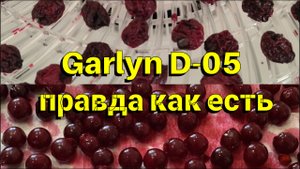 Garlyn D-05 сушилка для овощей и фруктов, отзыв