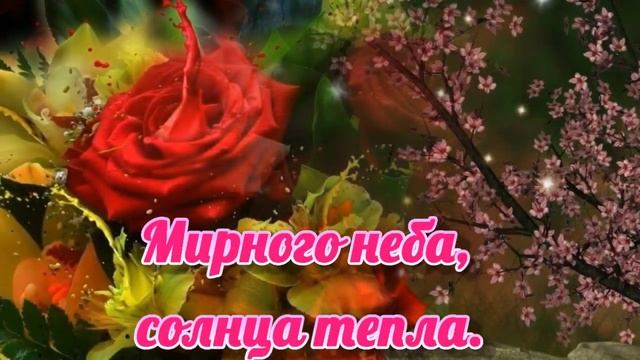 КРАСИВОЕ ПОЗДРАВЛЕНИЕ с шикарными розами. Пусть ваша радость будет бесконечной