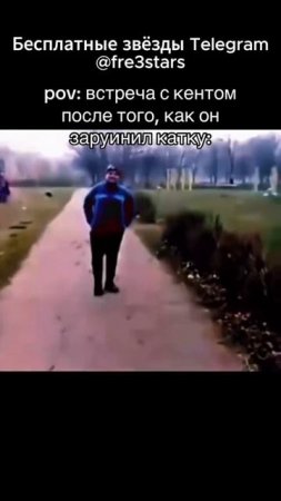 @fre3stars Бесплатные звезды и подарки телеграм #мемы #приколы #ржака #звезды #подарки #телеграм #тг