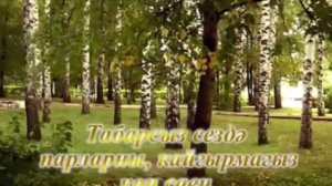 Ильдар Хакимов: караоке «Ак каенга ак каен»