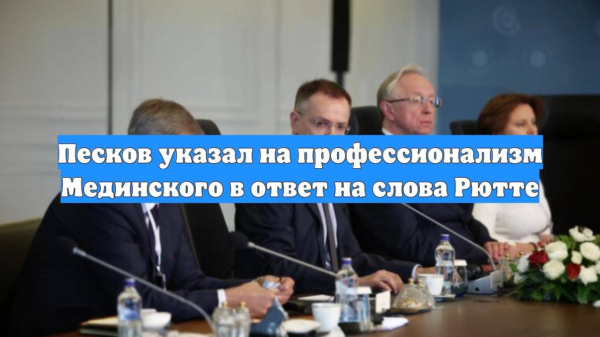 Песков указал на профессионализм Мединского в ответ на слова Рютте