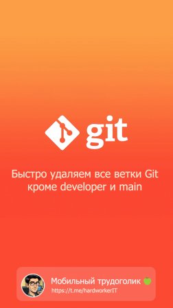 Как быстро удалить все ветки Git кроме developer и main?