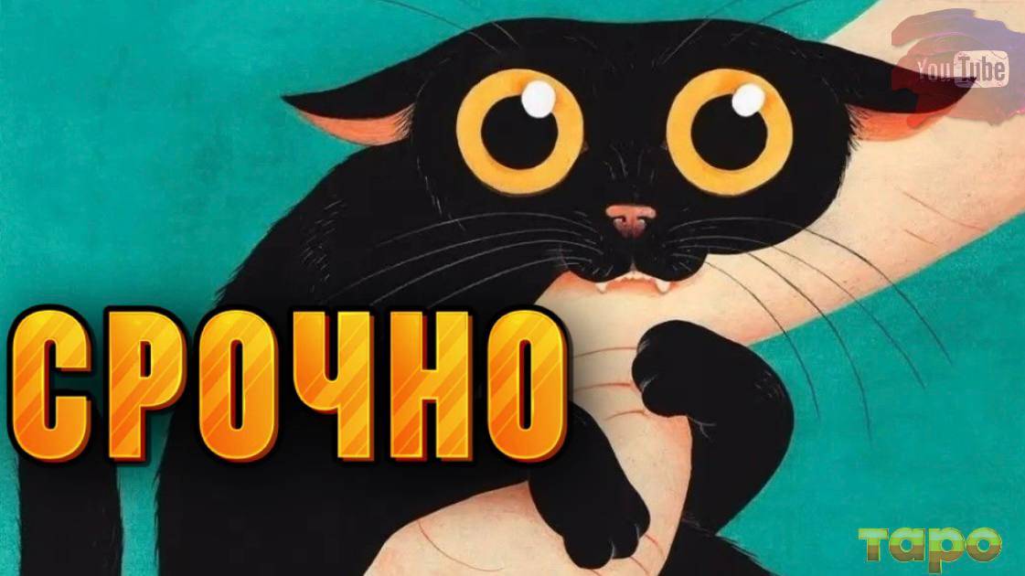 ⭐️С.Р.О.Ч.Н.О.Е⭐️ ‼️ВЫСШИЕ СИЛЫ С ВАМИ‼️