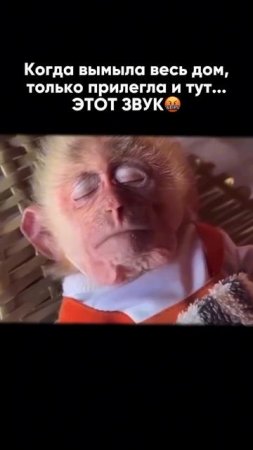 Очень знакомый звук. И очень знакомое чувство.