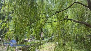 «Китайский парк Хуамин» Москва