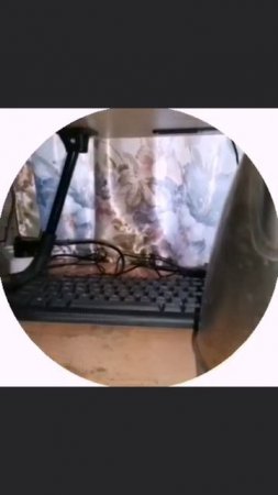 Миниатюра шестая, ситуация на ресепшене, ещё осталось снять 994 :)