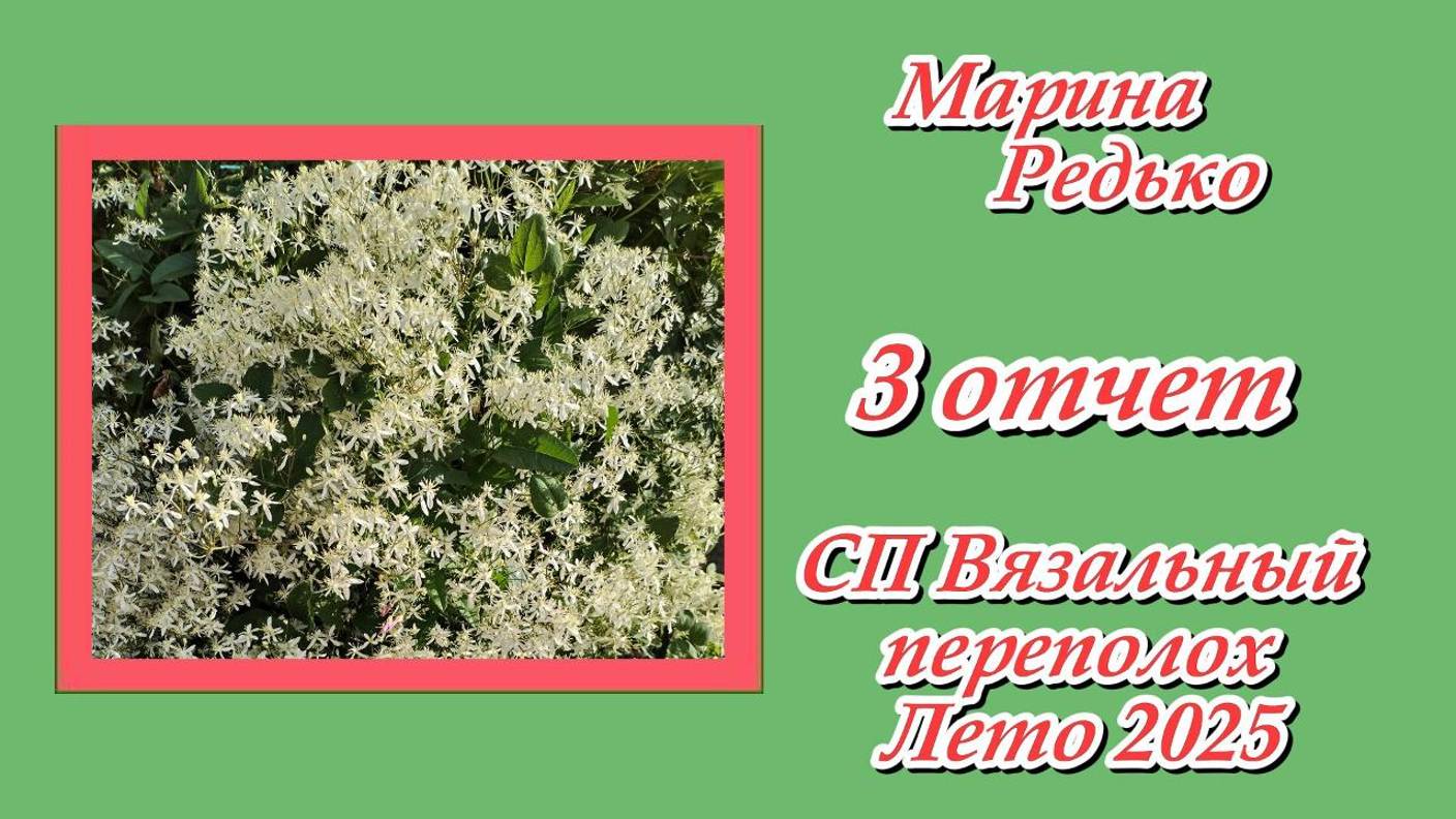 СП "Вязальный переполох Лето 2025" / 3 отчет