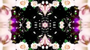 Футажи! Футаж Букеты роз К 11 от Киностудии Мудрого Кота Тимофея!!!