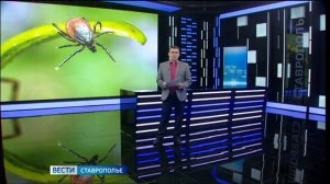 «Вести. Ставропольский край» 15.07.2025
