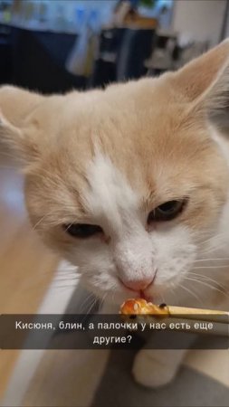 А что любят ваши котики ?),😻

#кот #котоблог #смешныекоты #котэ #безкотажизньнета #котики
