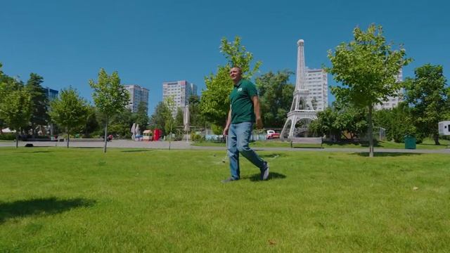 Парк на даче: как высадить и вырастить платан