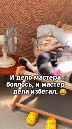Пускай работает железная пила. Не для работы меня мама родила.)