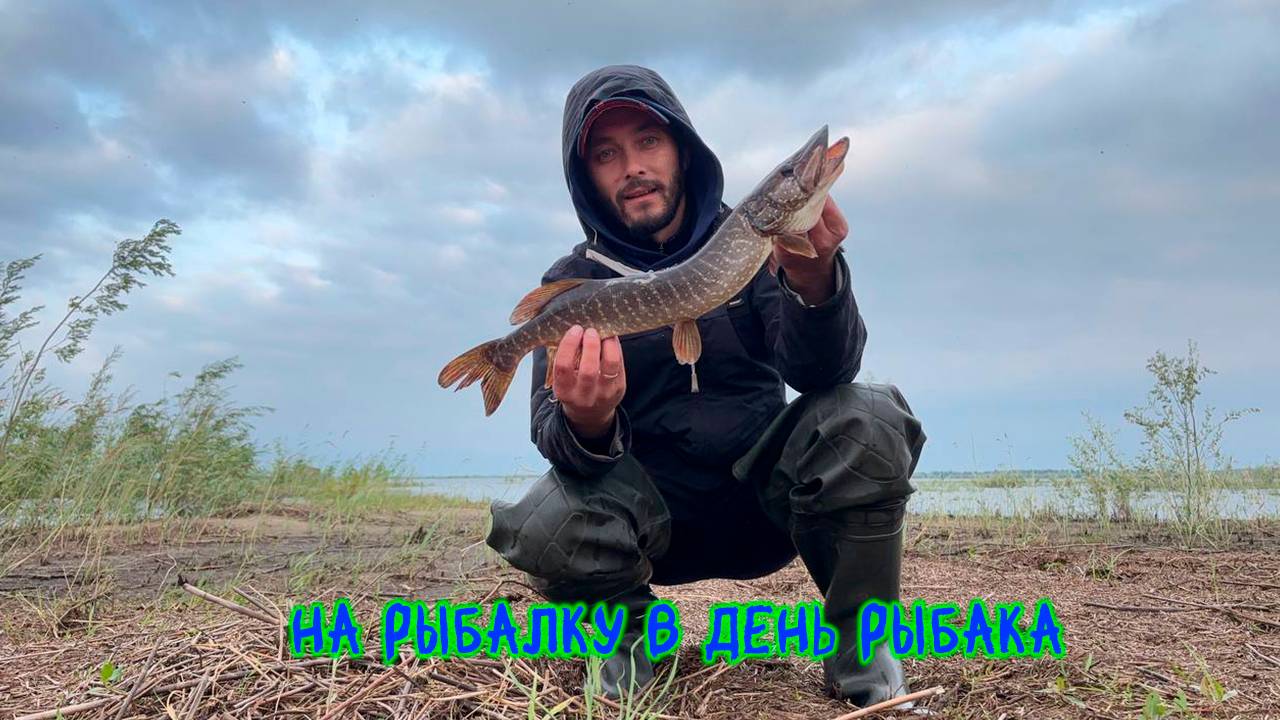 На рыбалку в День Рыбака! #щука #окунь #рыбалка #спиннинг