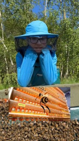 А вы бы хотели кушать мёд каждый день?
