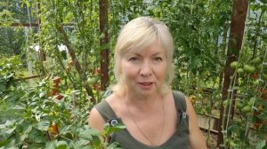 На даче Опасные грозы.Много вопросов.Обрезала листья  томатов.Зачем это делаю