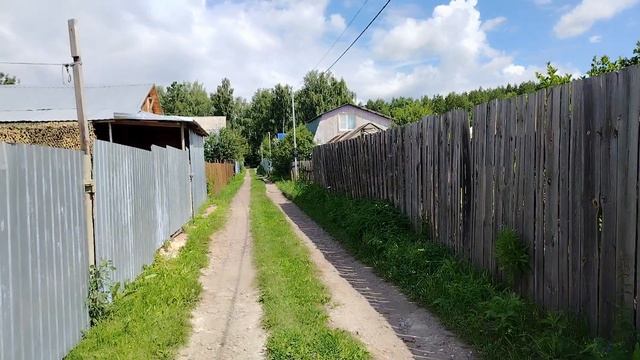 Видео привет, 14 июля 2025 года. Иду по лесу на дачку. Небольшие планы на будущее.