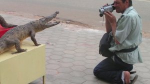 Я не старый, я - с пробегом )))