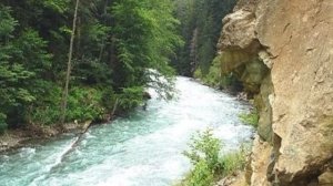 Кавказский государственный заповедник, часть 2 
Лесной дневник