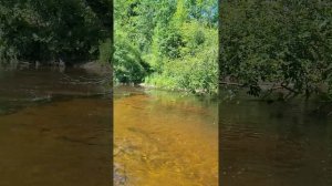 Сплав на байдарке по р. Кокшеньга