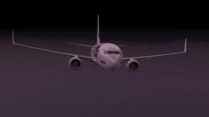 Пулково 612. Авиакатастрофа Ту 154 под Донецком