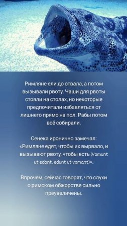 Странные обычаи древнеримского застолья 😲🍗🍖