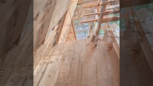 1000029141.mp4 (Собака наблюдает за креплением имитации бруса внутри дома А-фрейм)