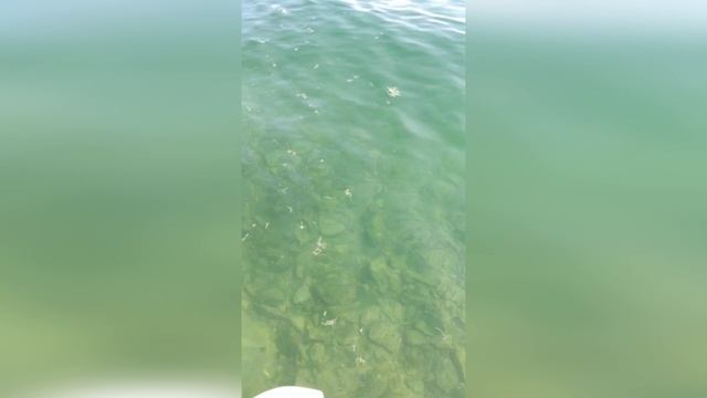 Прогулка к сердцу природы