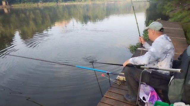 Утро на водоёме