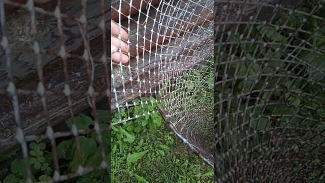 Придумала кашпо из сетки