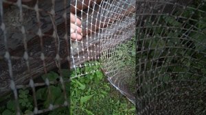 Придумала кашпо из сетки