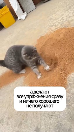 😥Пожалуйста, читайте рекомендации