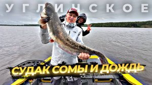 Угличские приключения 2025. Судак в дождь
