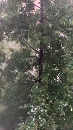 🌧️Лить в Москве будет ещё как минимум до воскресенья🌧️