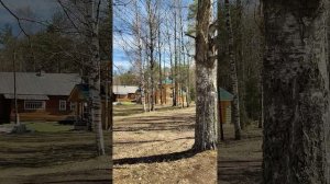 Пробежка выходного дня вдоль по р. Кокшеньга 100 км