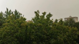 Гроза в Москве. 15 июля 2025. Сильные раскаты грома. Ливень. Жара ушла. Похолодание