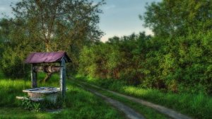 Мистика. Страшные истории про деревню.  Колодец У ЛЕСА.