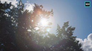 Неспешная жизнь Москвы июльским днем | О Москве с любовью