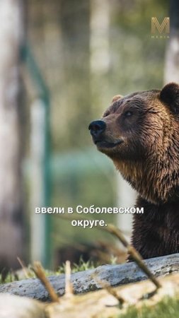 ГЛАВНОЕ ЗА МИНУТУ | 15.07 #камчатка #новости