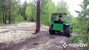 В гостях у Лешего