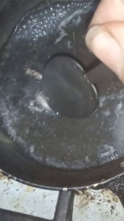 Это настоящее мясо ящерицы