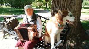 Пенсионеры...