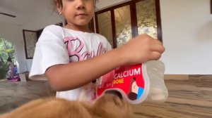 Мы точно не потянем эту школу для дочек. Образование в Индии, Гоа.70 тыс за 5 мес дорого или копейки