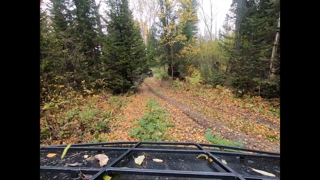 Небольшие покатушки с обычными квадроциклами смотреть онлайн