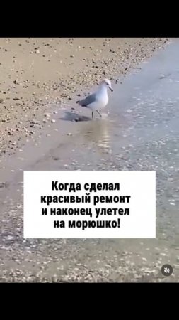Подписывайтесь, у нас все про ЛДФ декор: плинтусы, молдинги, карнизы, стеновые панели, наличники.