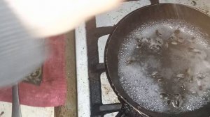 Мясо улиток рецепт приготовления пищи из улиток